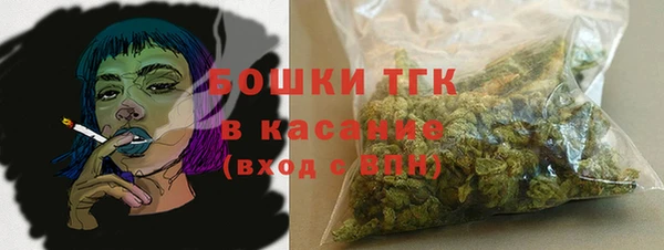 PSILOCYBIN Богородицк